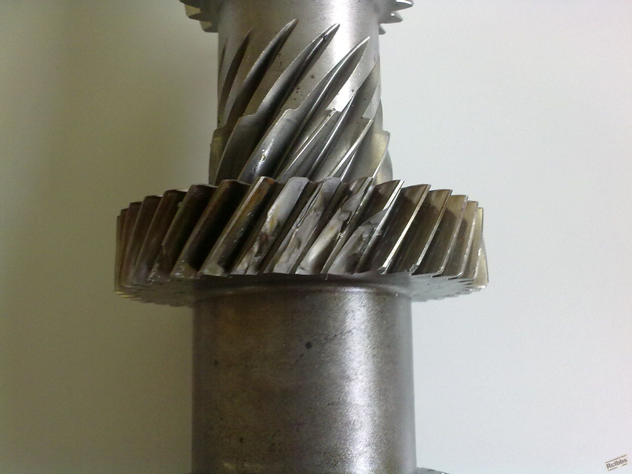 20101127019.jpg