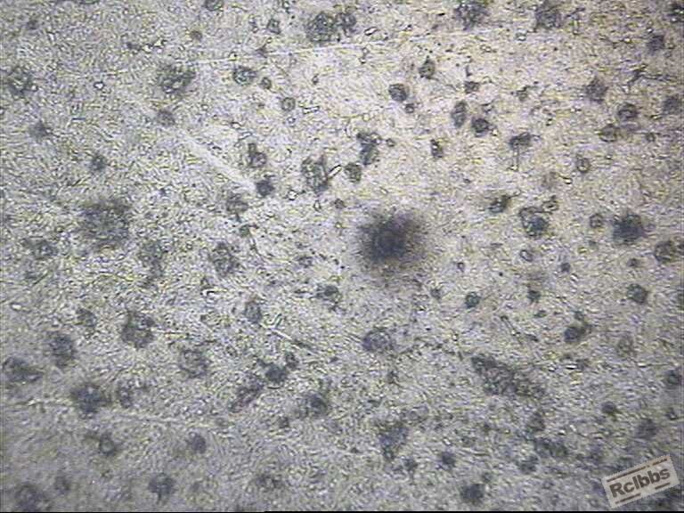 gy6125-3.jpg