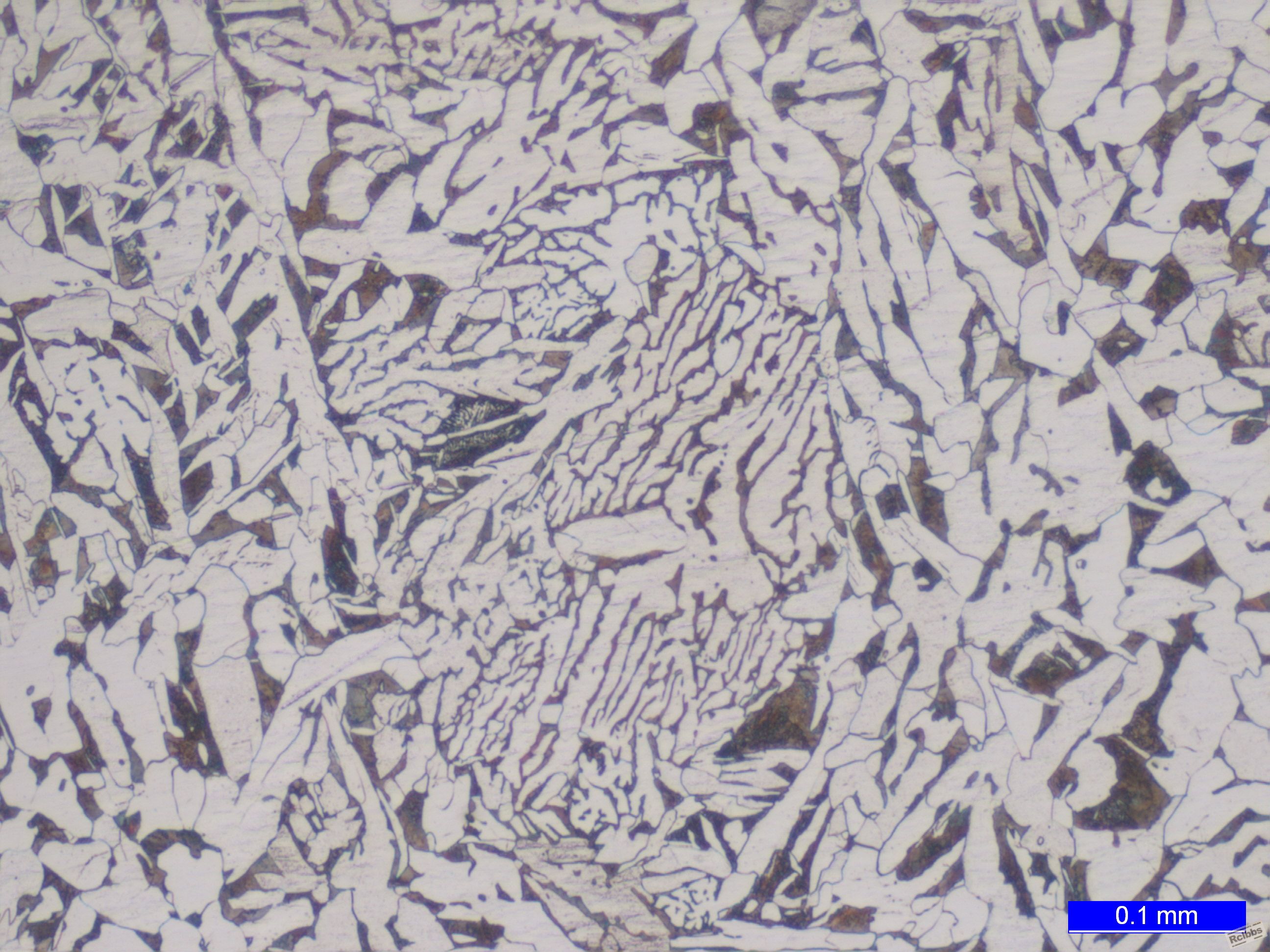 42CrMoS4_000027.jpg