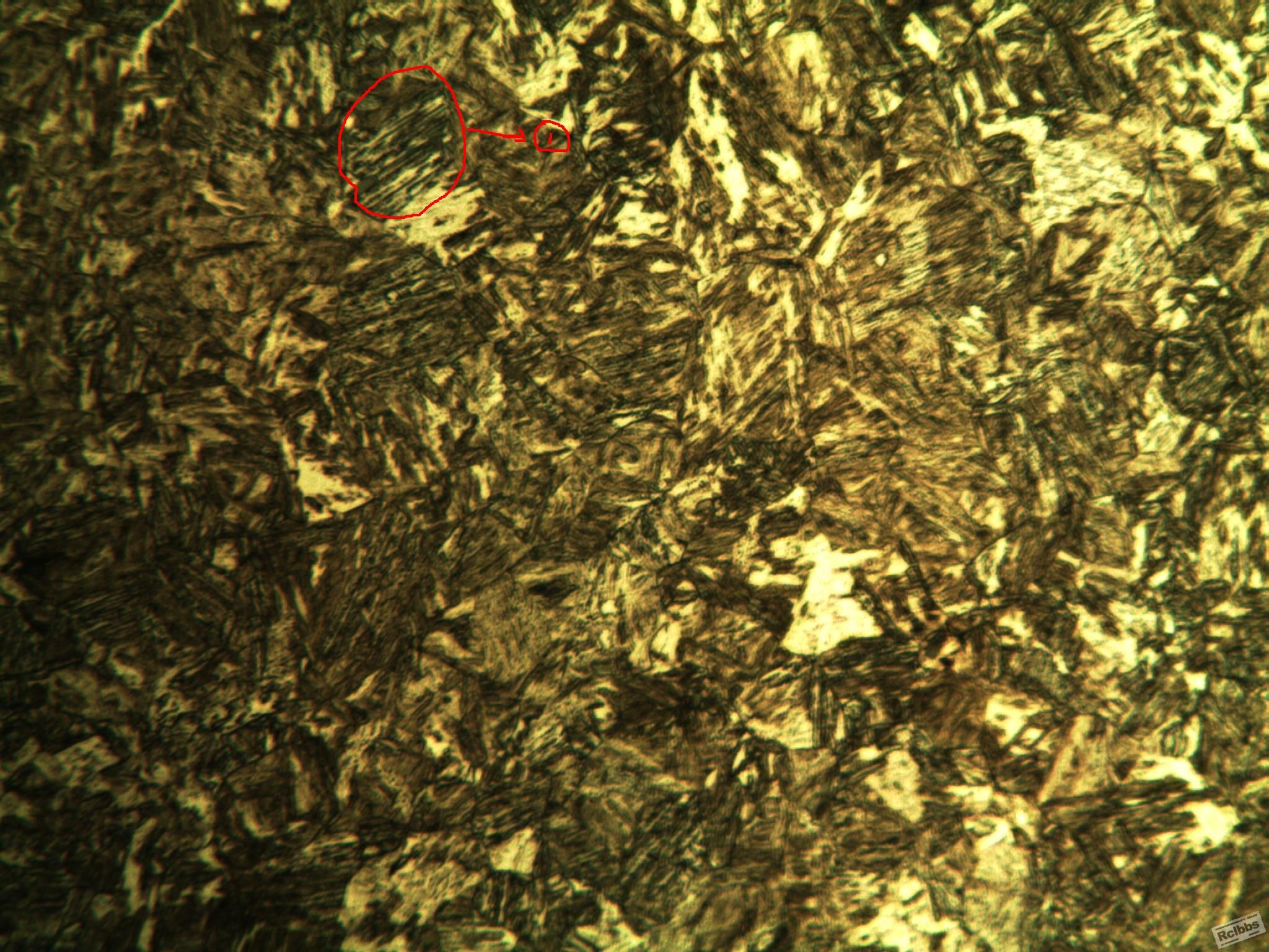 心部