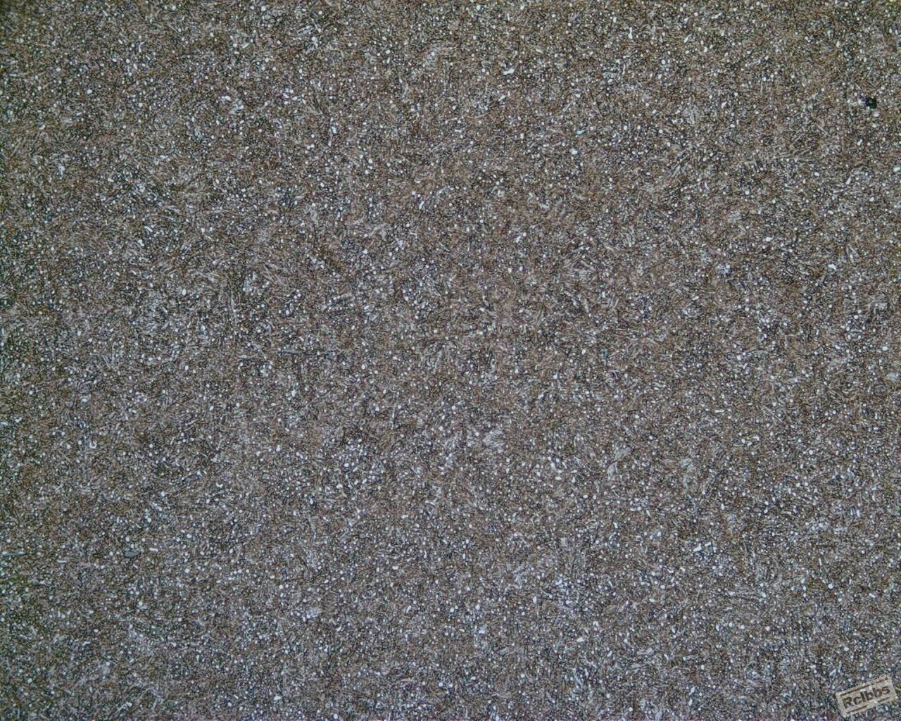 2010-11-30-4.JPG