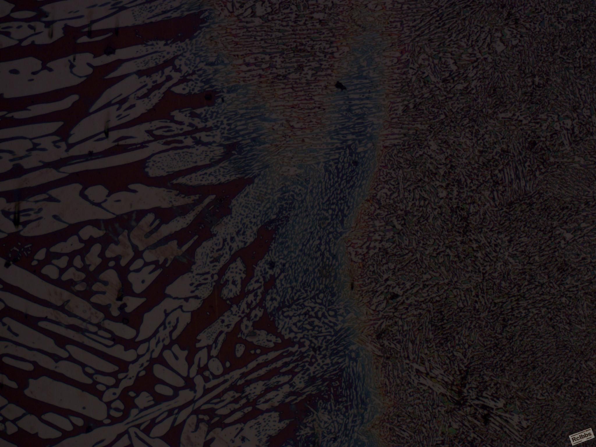 CD4MCuN-2(焊后)100x-1.JPG
