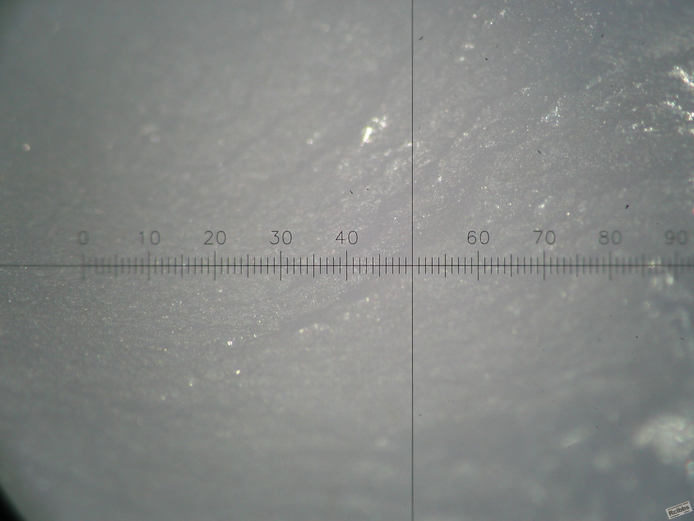 P1010041.JPG