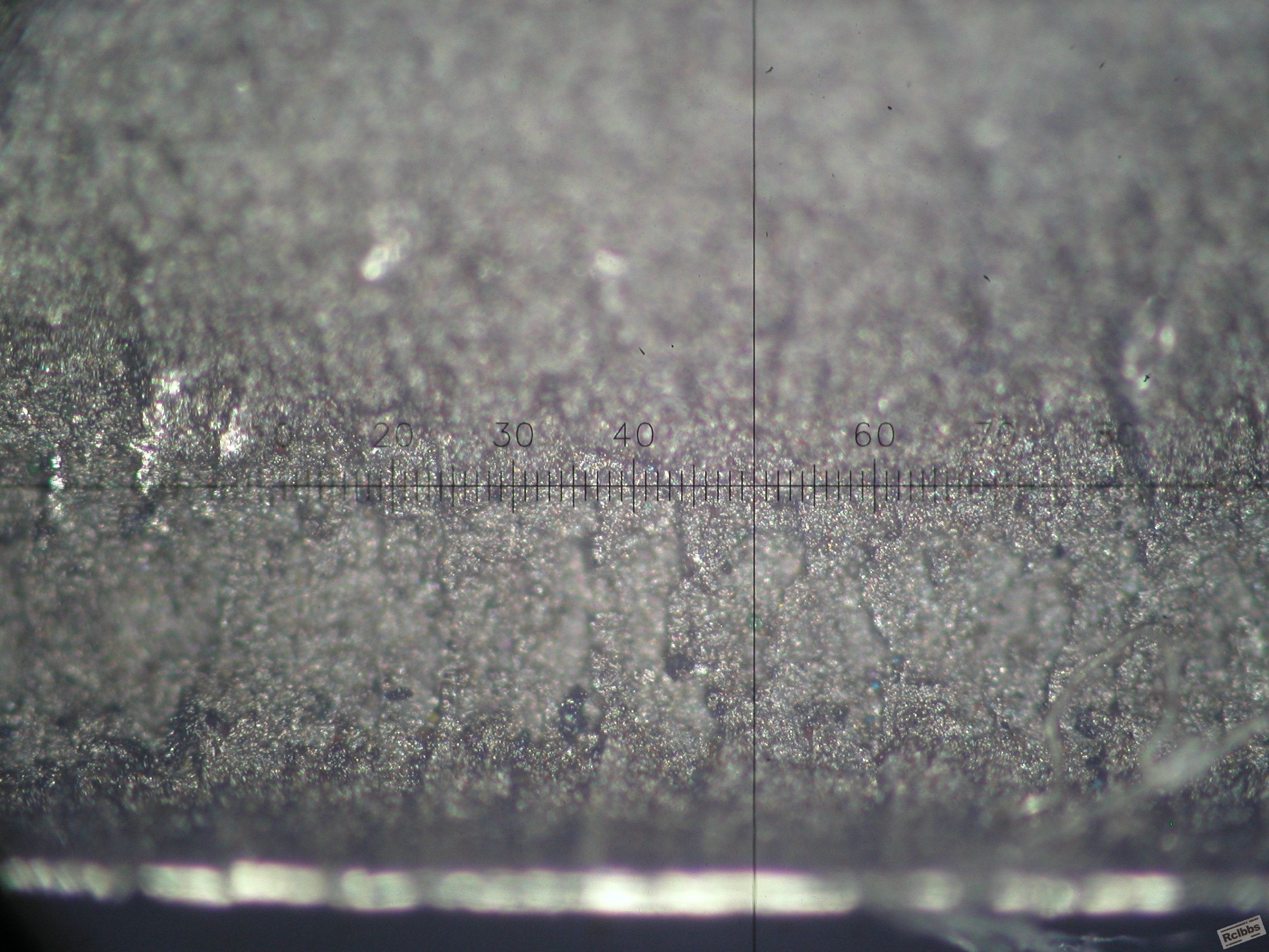 P1010044.JPG
