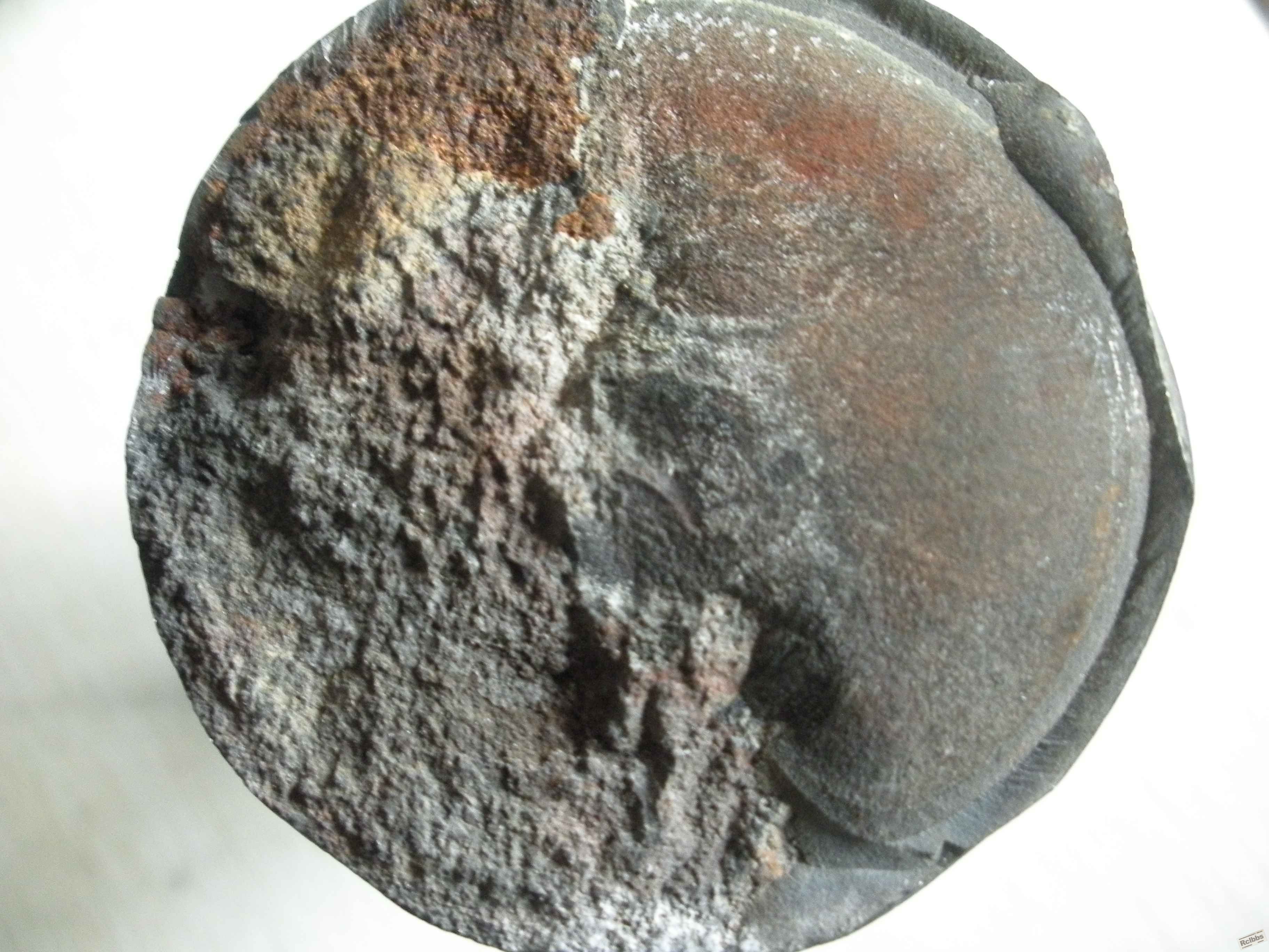 DSCN1438.JPG
