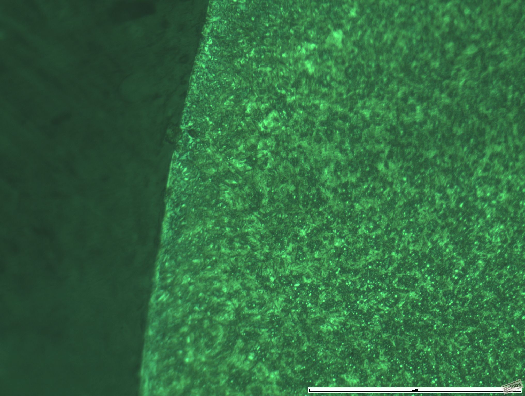 11-081滚柱GCR15边缘是否脱碳400倍.JPG