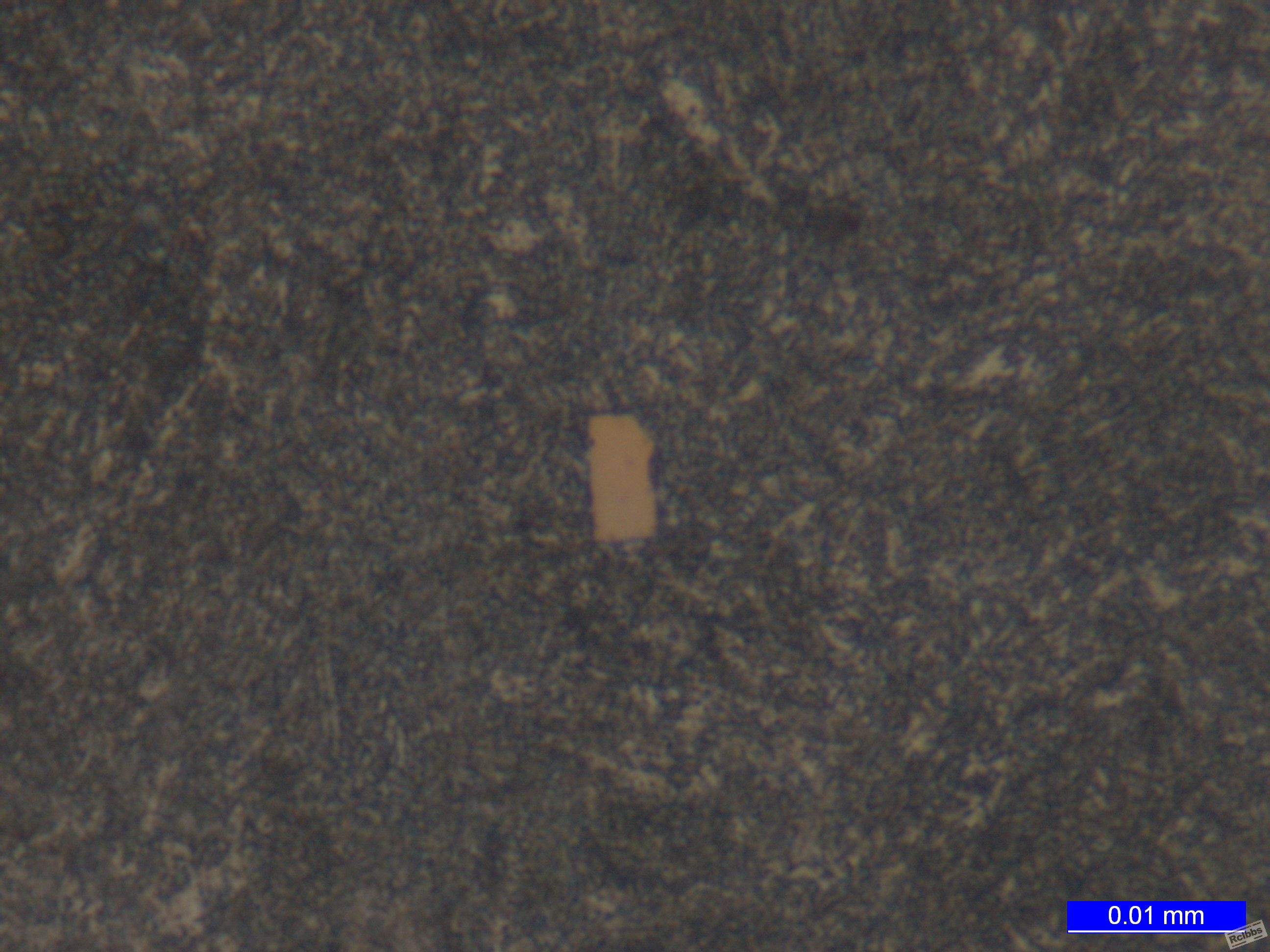 109050-00_000014.jpg