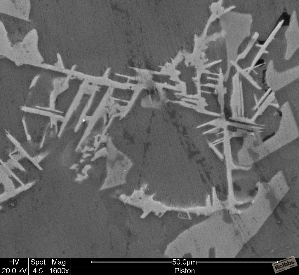 1600x SEM.jpg