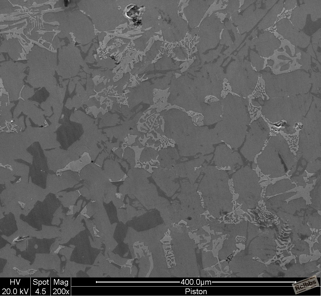 200X SEM.jpg