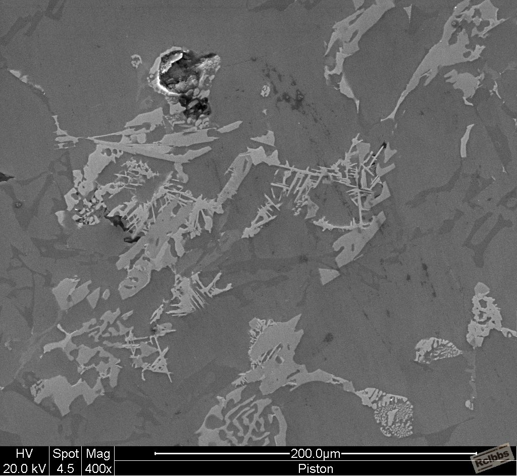 400X SEM.jpg