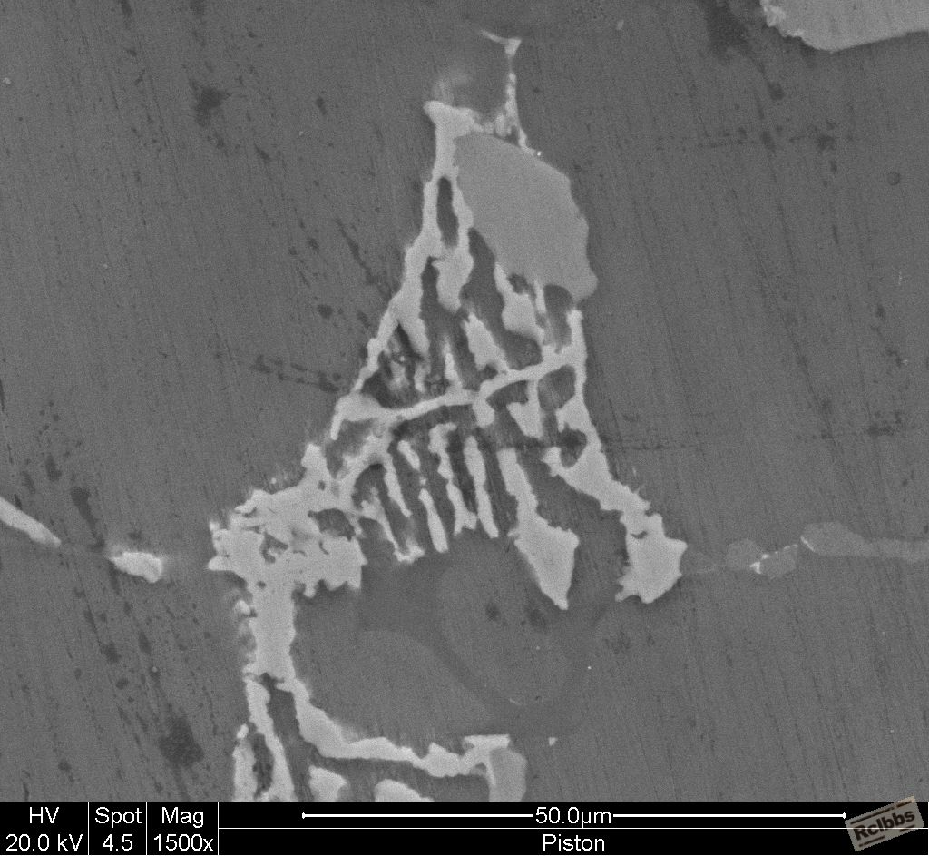 1500x SEM.jpg