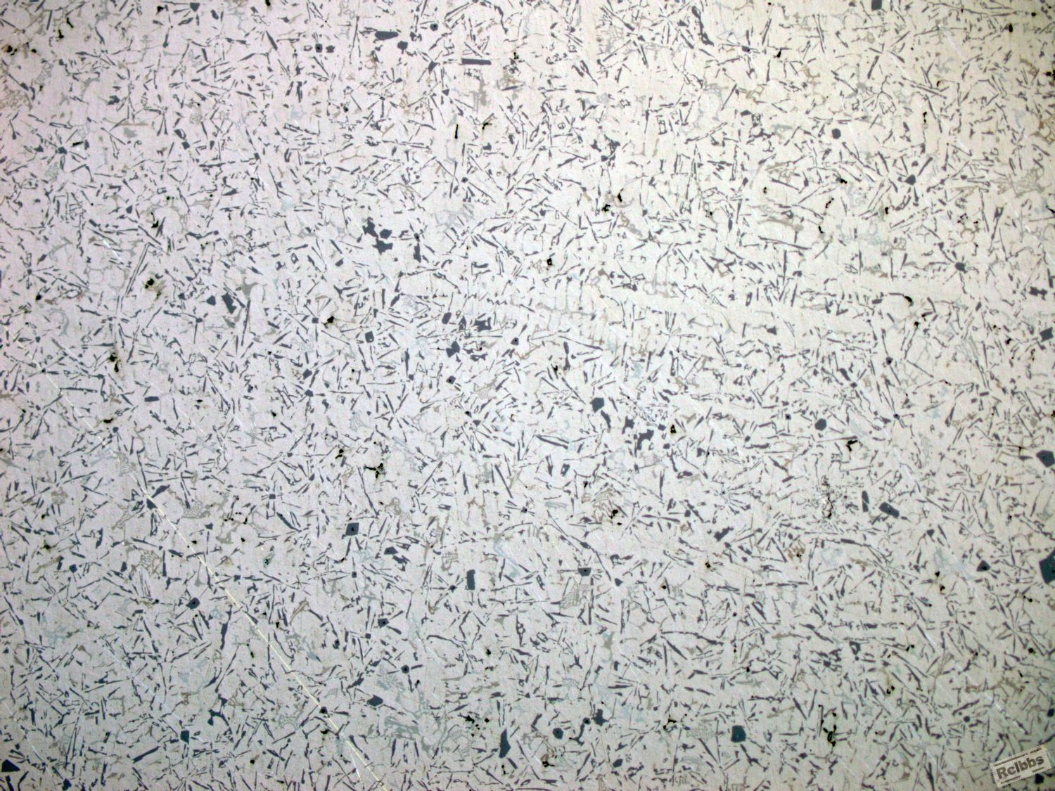 100XNORMAL1small.jpg