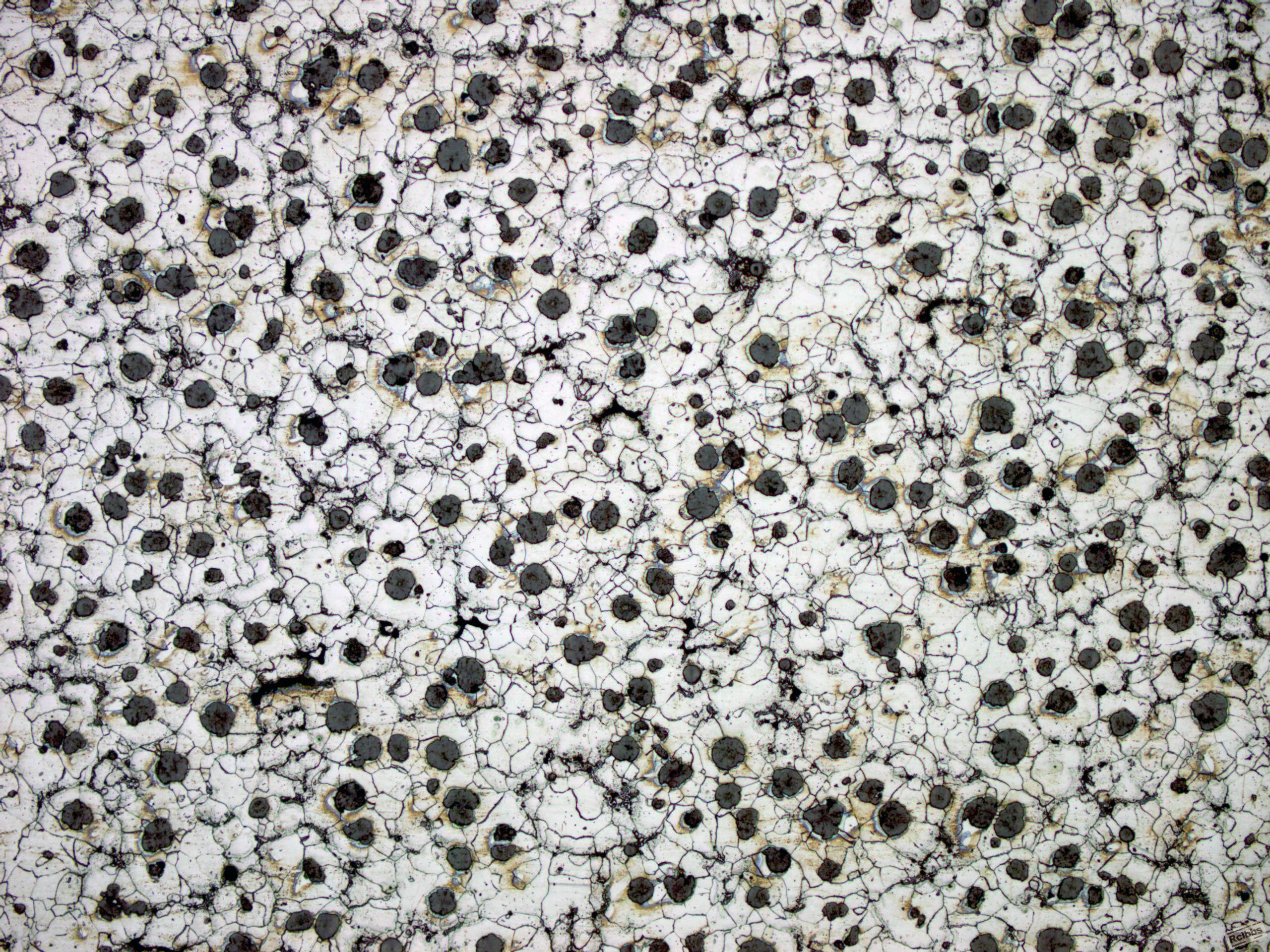 CASTING IRON 100x ETCHED1.jpg