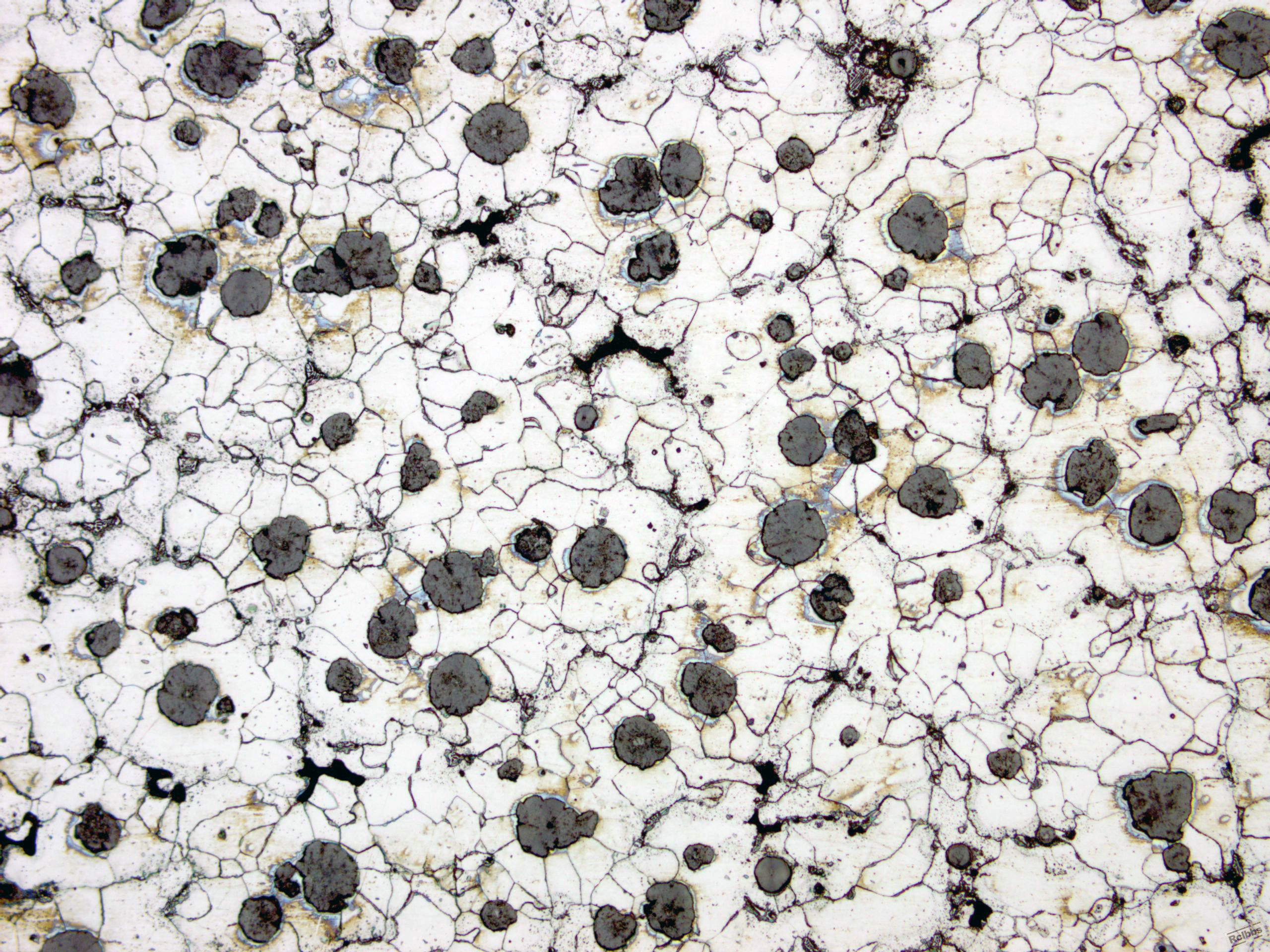 CASTING IRON 200x ETCHED1.jpg