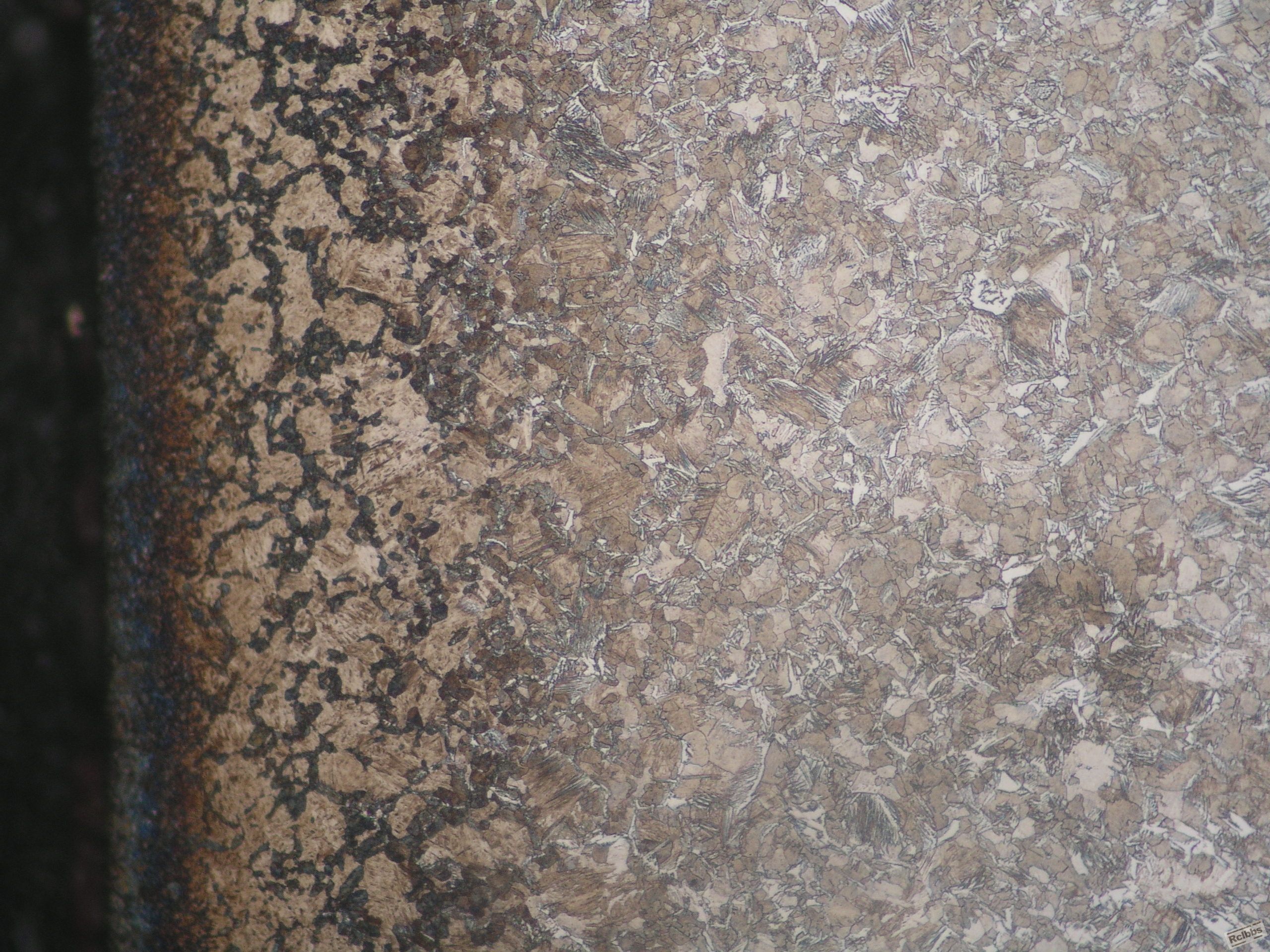 P1010046.jpg
