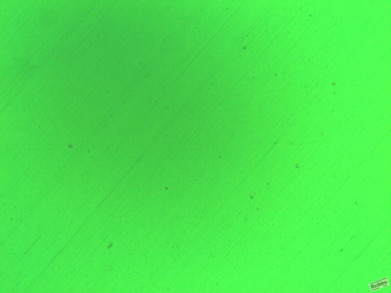 抛光态 200X