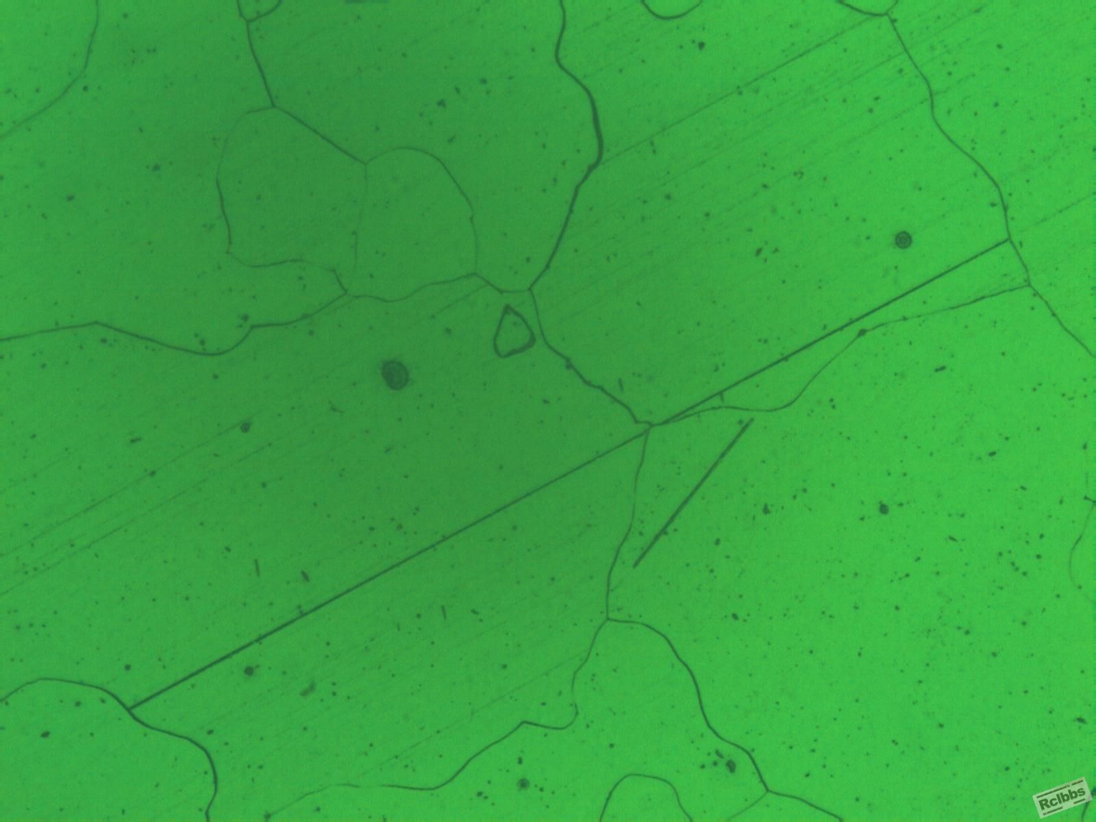 图七 正火 400X（最长针状物，大概0.3mm）