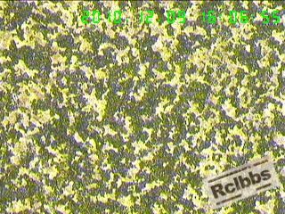 101216152469ff31414662c0d1.jpg