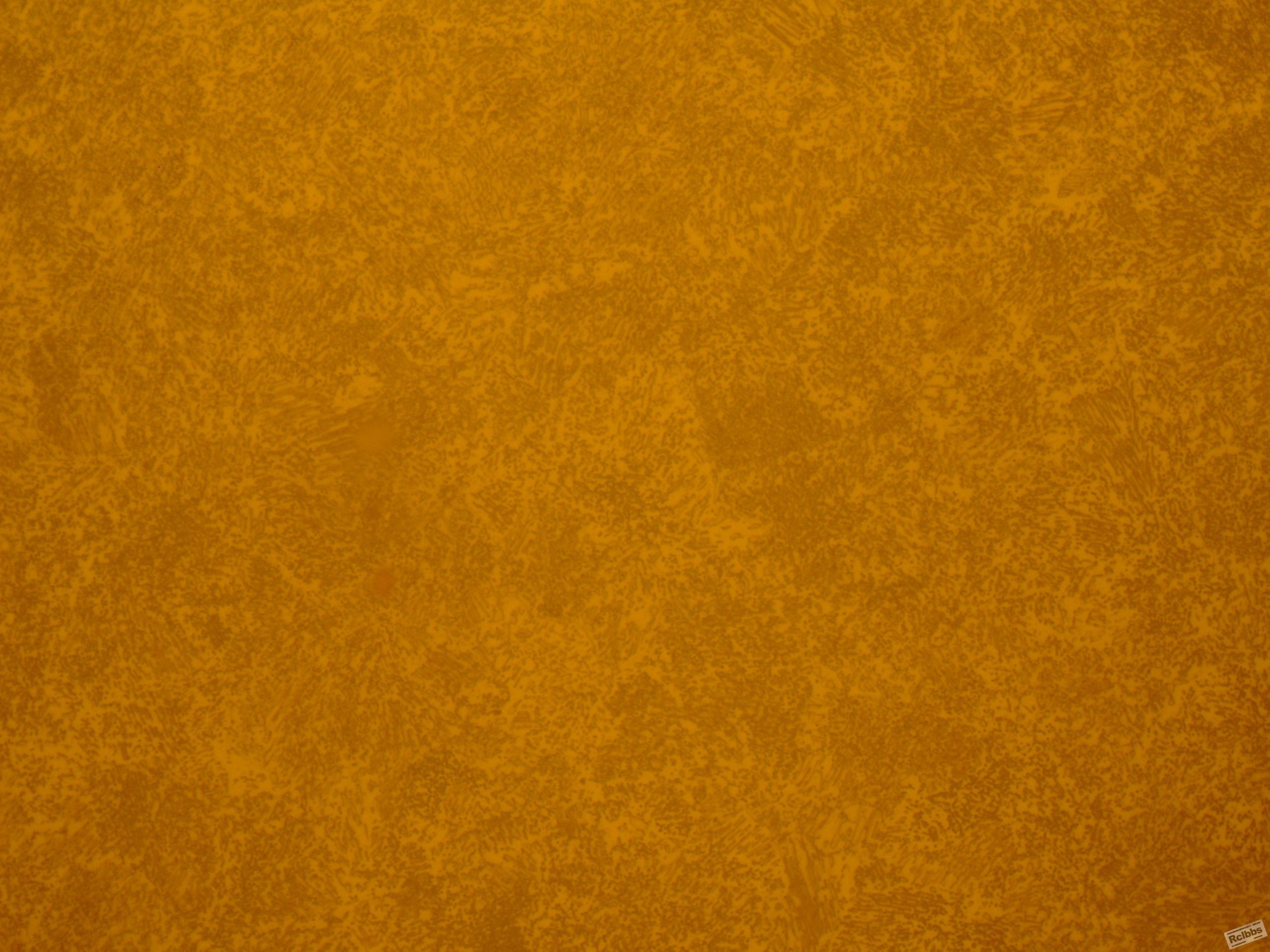 组织1000X-3.JPG