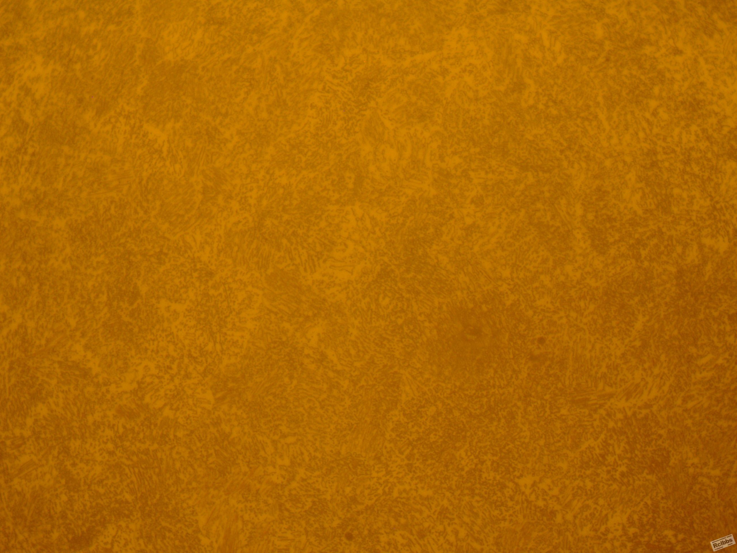 组织1000X-2.JPG