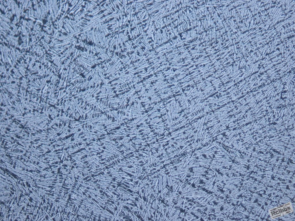 灰铁激冷试样200x.jpg