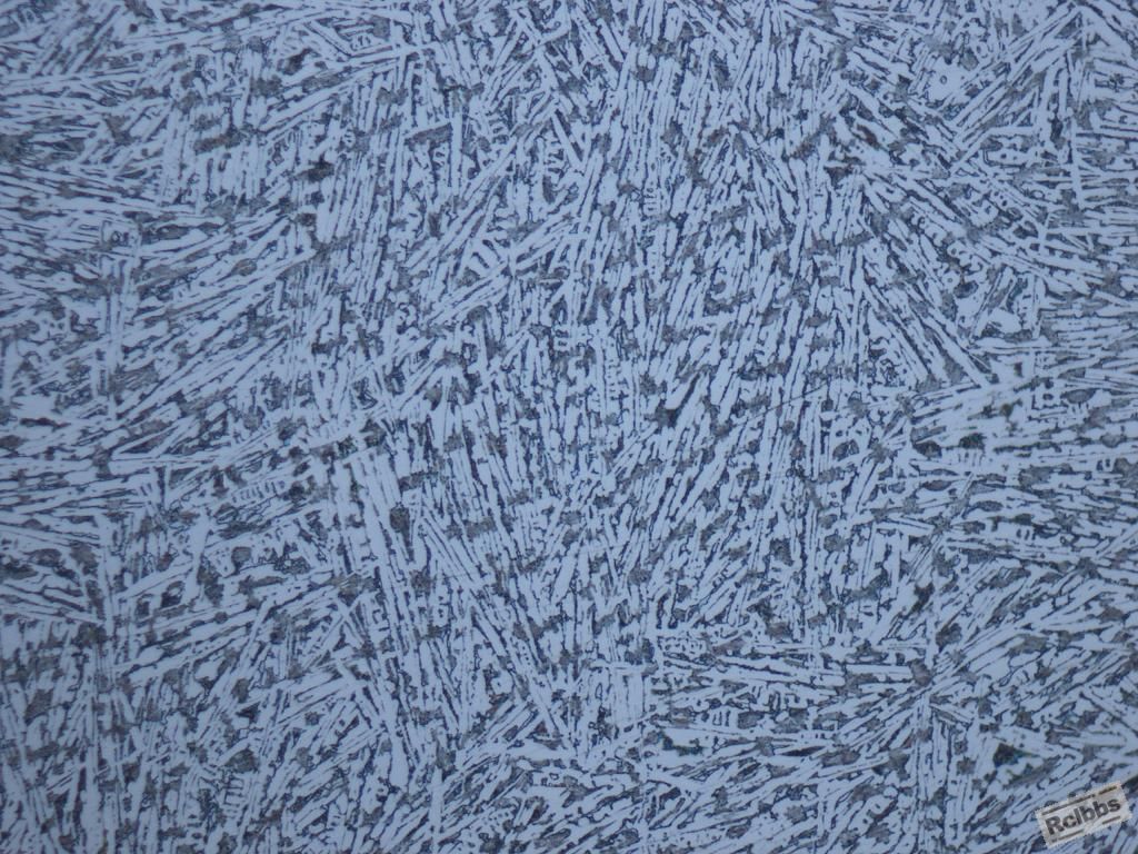 灰铁激冷试样500x.jpg