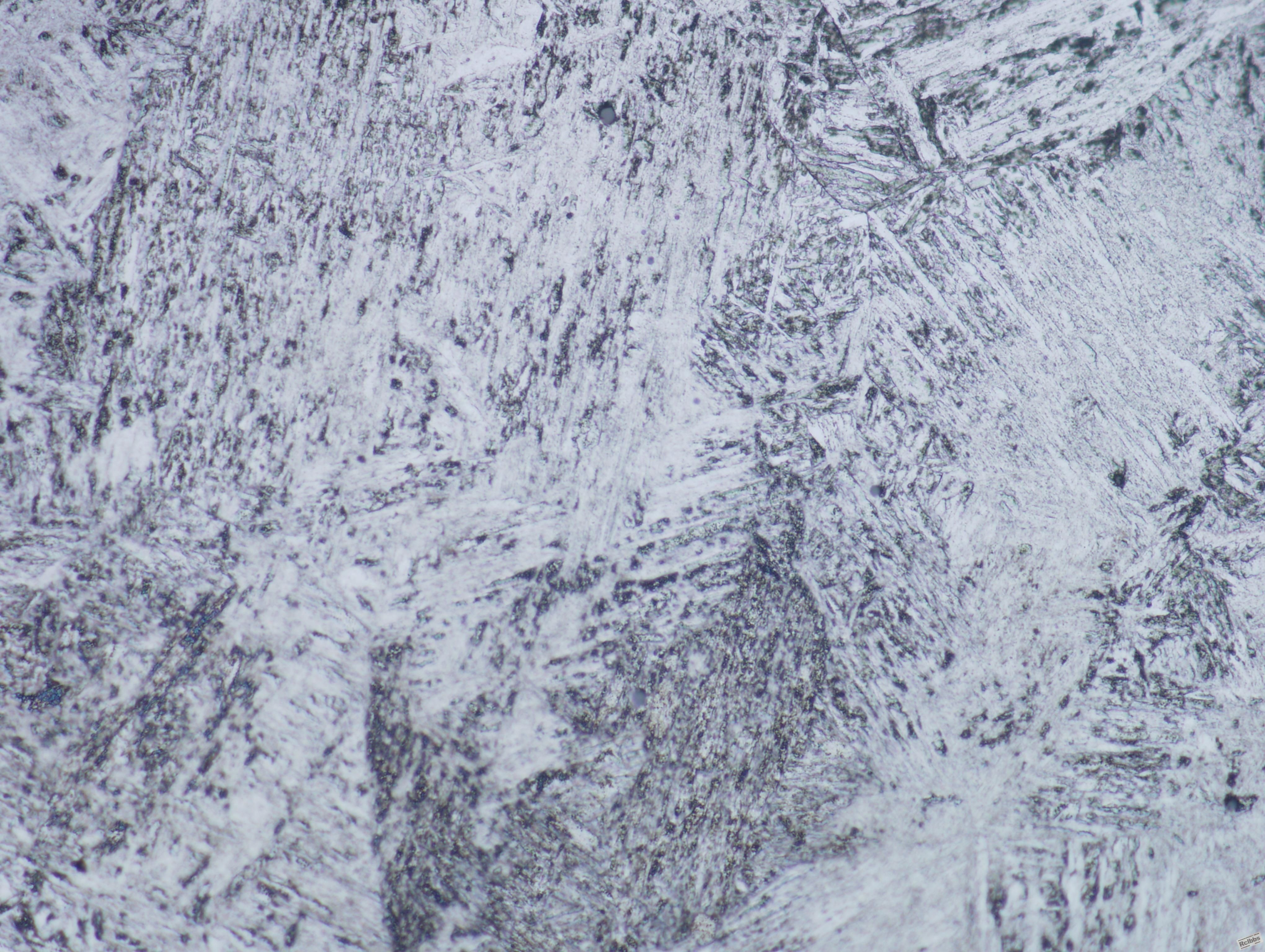 Image10-500x1.JPG