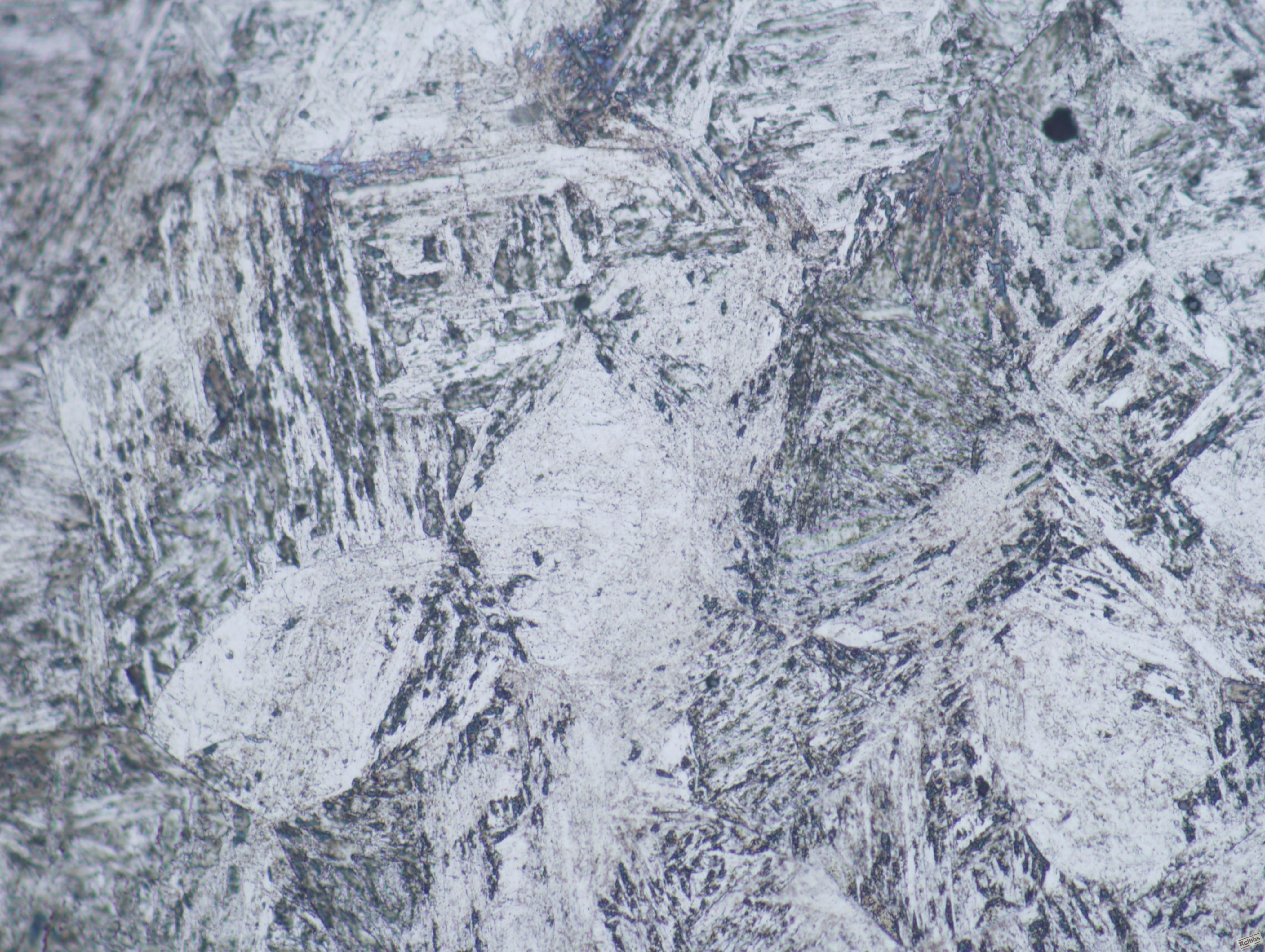 Image14-500x1.JPG