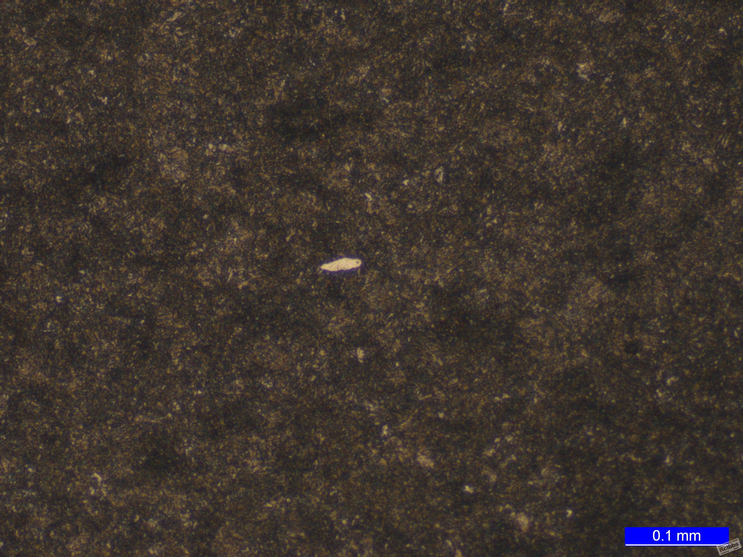 108470_000205.jpg