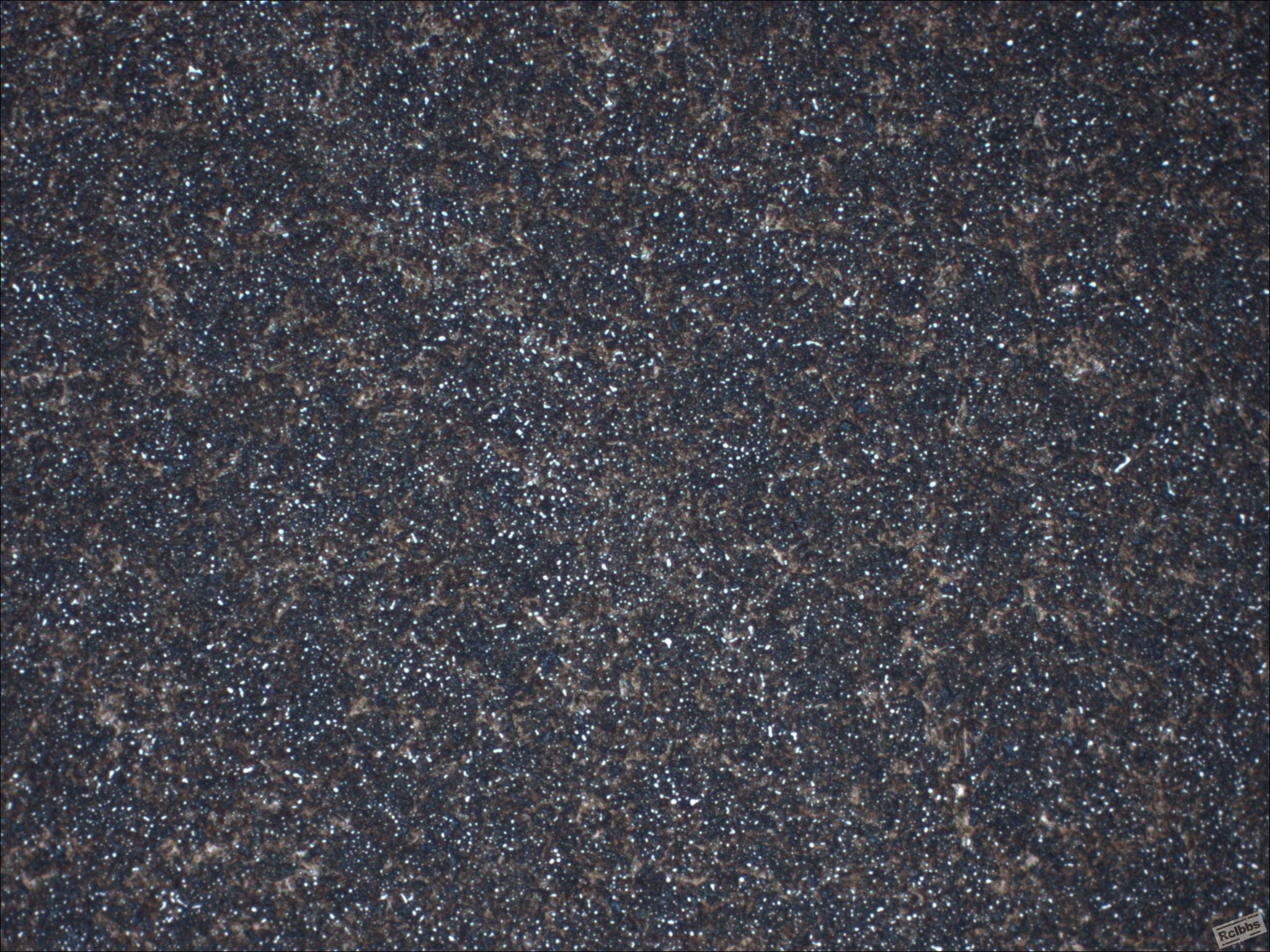 未标题-2，50×正常金属.jpg
