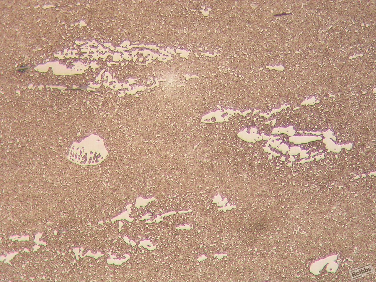 DSCN3090.JPG