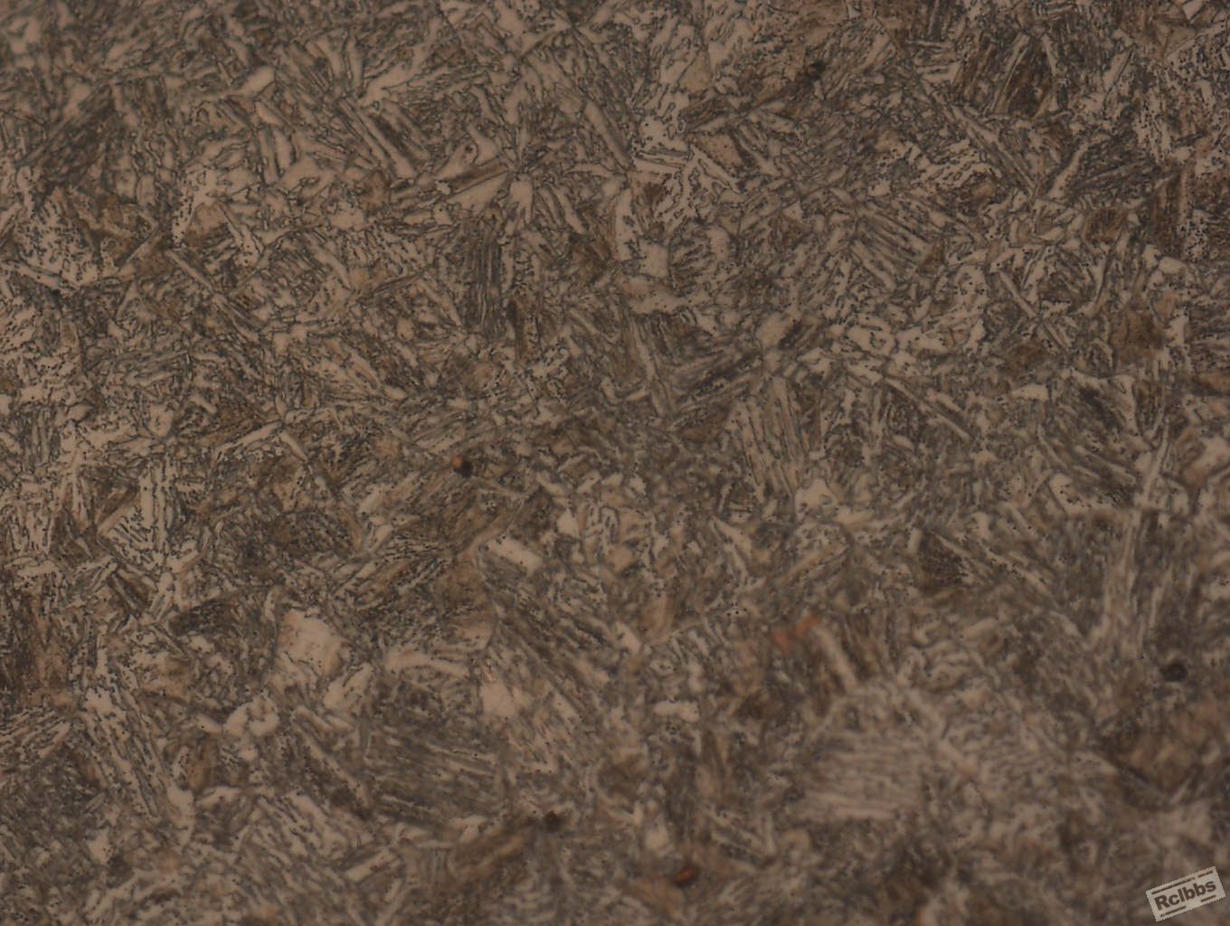 2-1000x