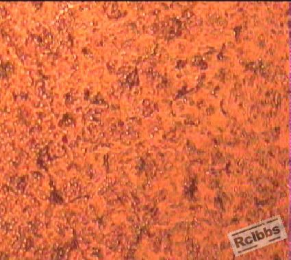 01.10 25-32 11110102-10.JPG