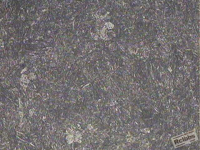 09  1000X  core-2.jpg