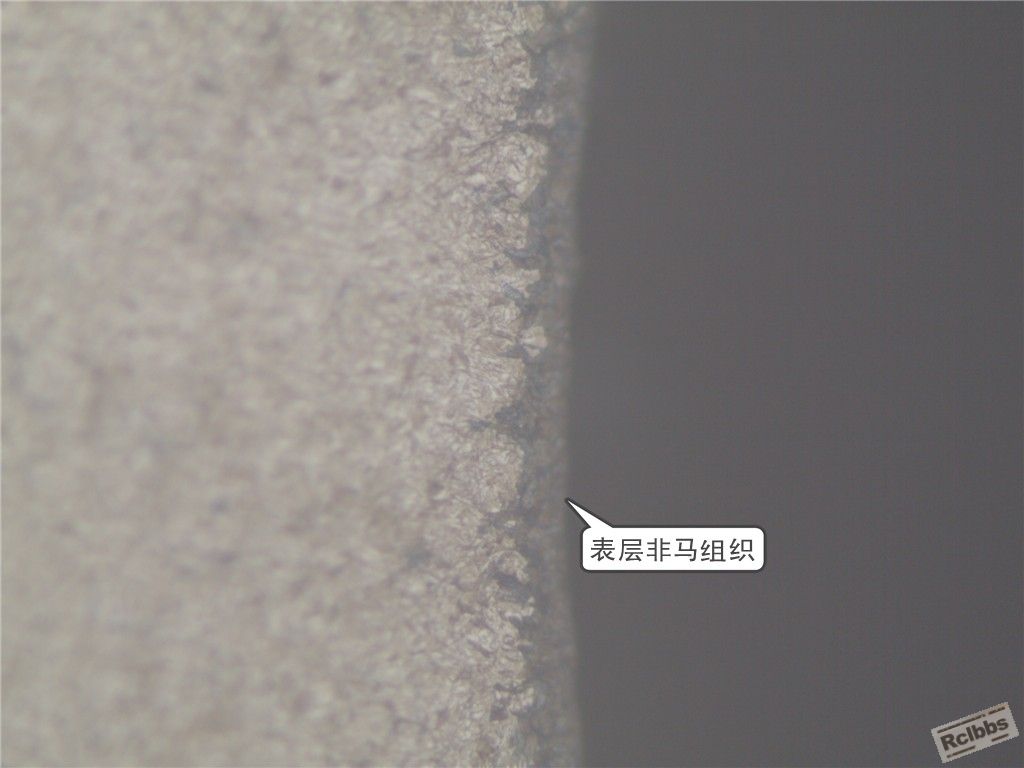 表层非马组织 _副本.jpg