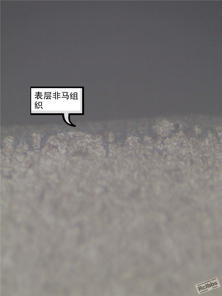 表层非马组织1_副本.jpg