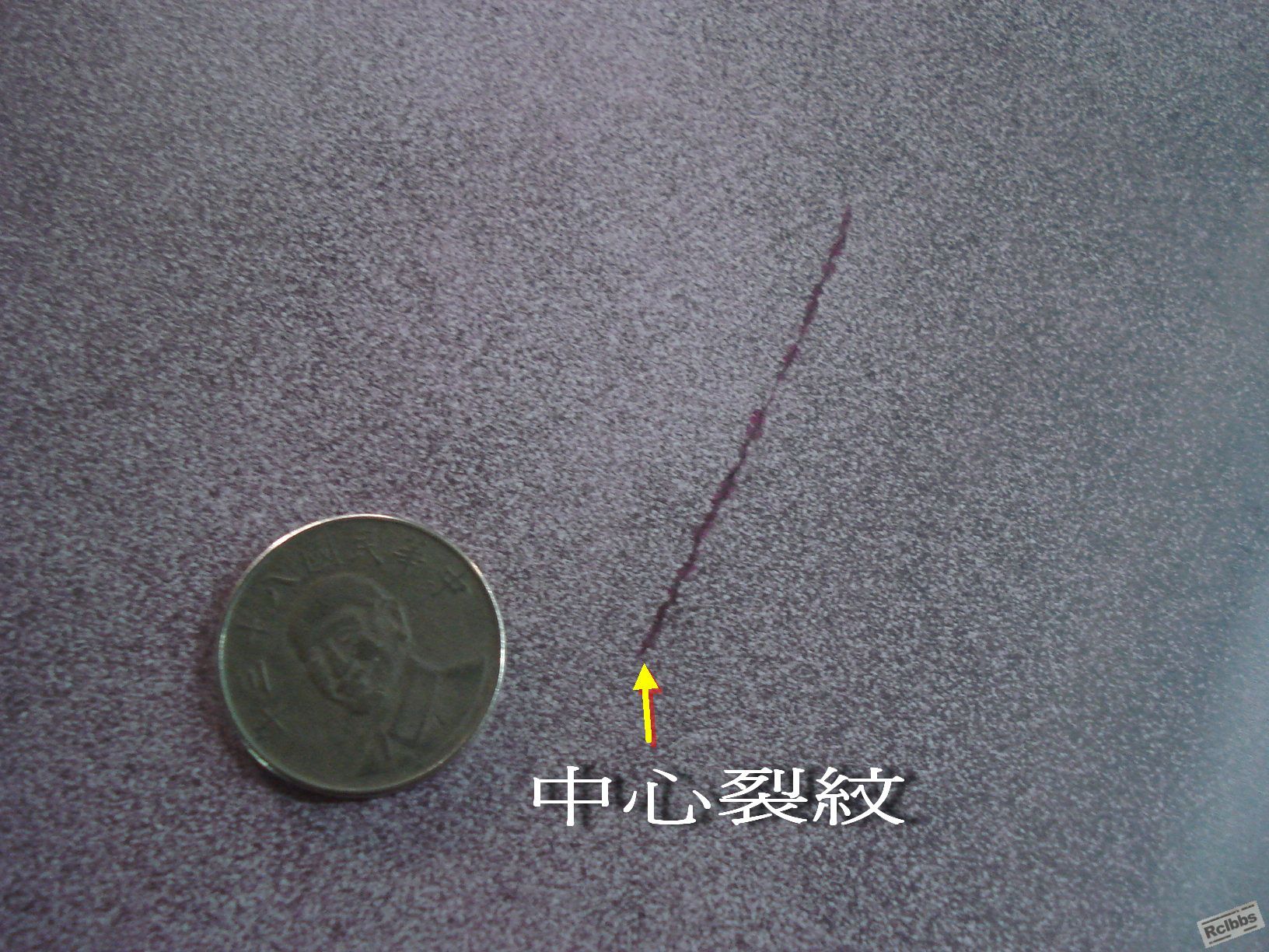 DSC00204.jpg