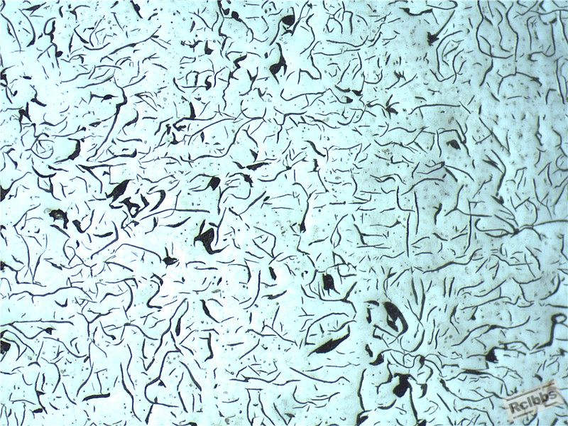 Image000_副本.jpg