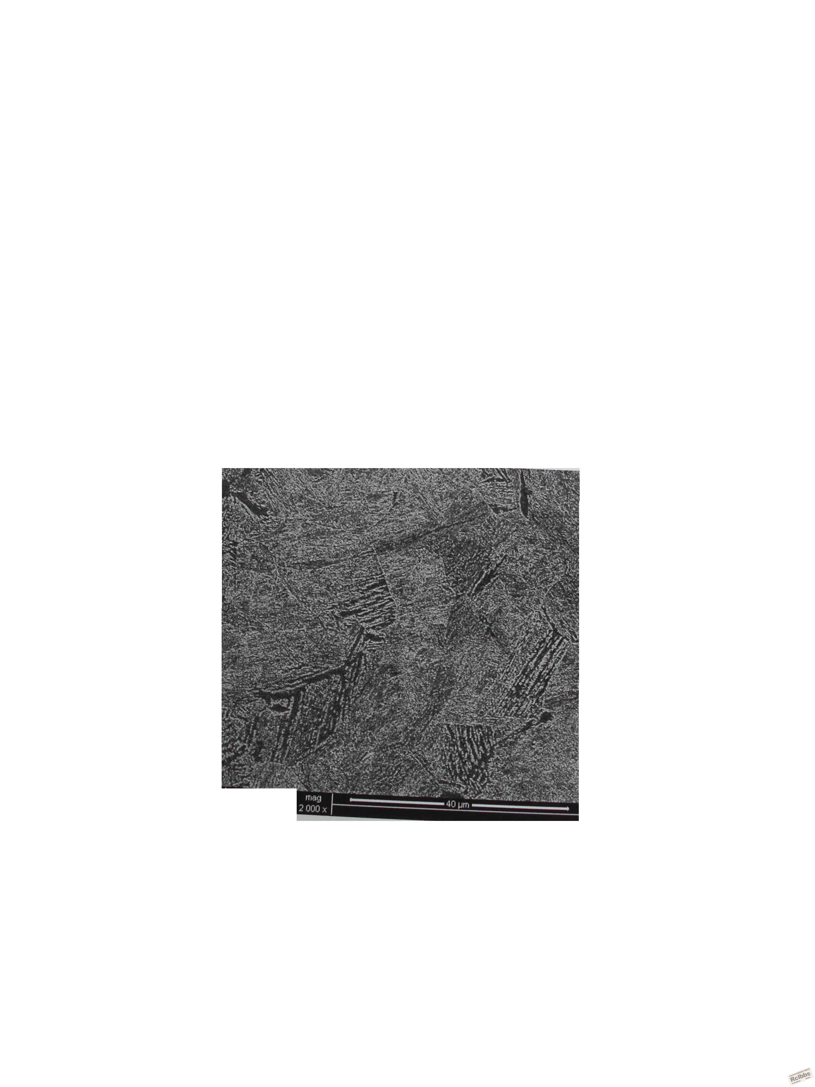 3556-6.jpg