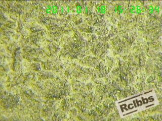 110118160091aeb29ff020d9a3.jpg
