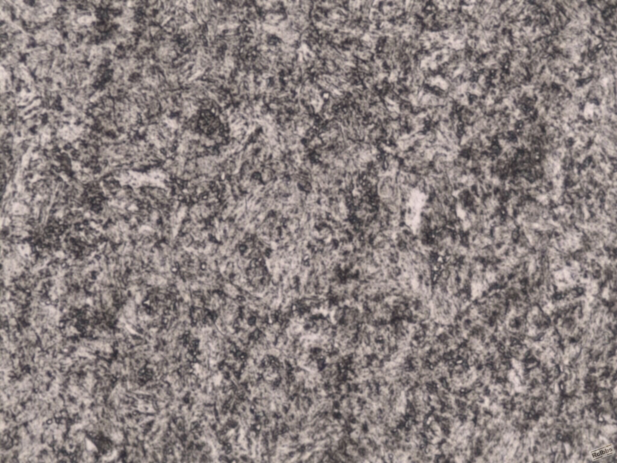 1000x-41.jpg