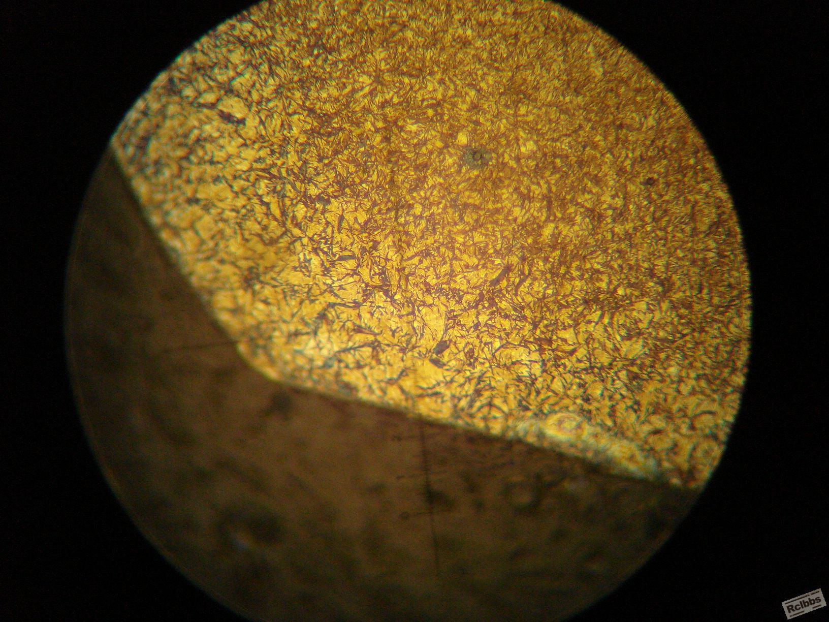 DSC06003.JPG