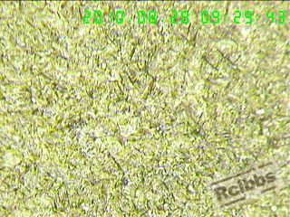011.jpg