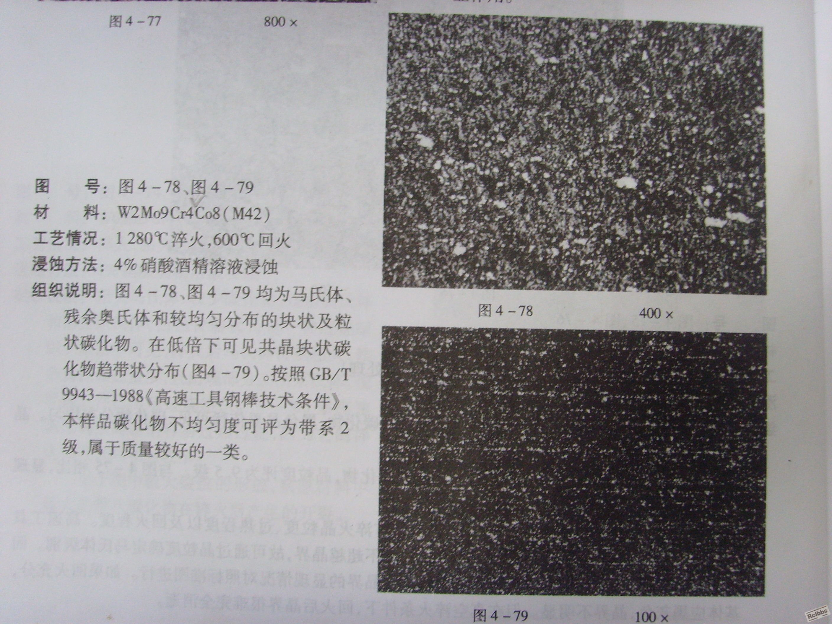 SSL21066.JPG