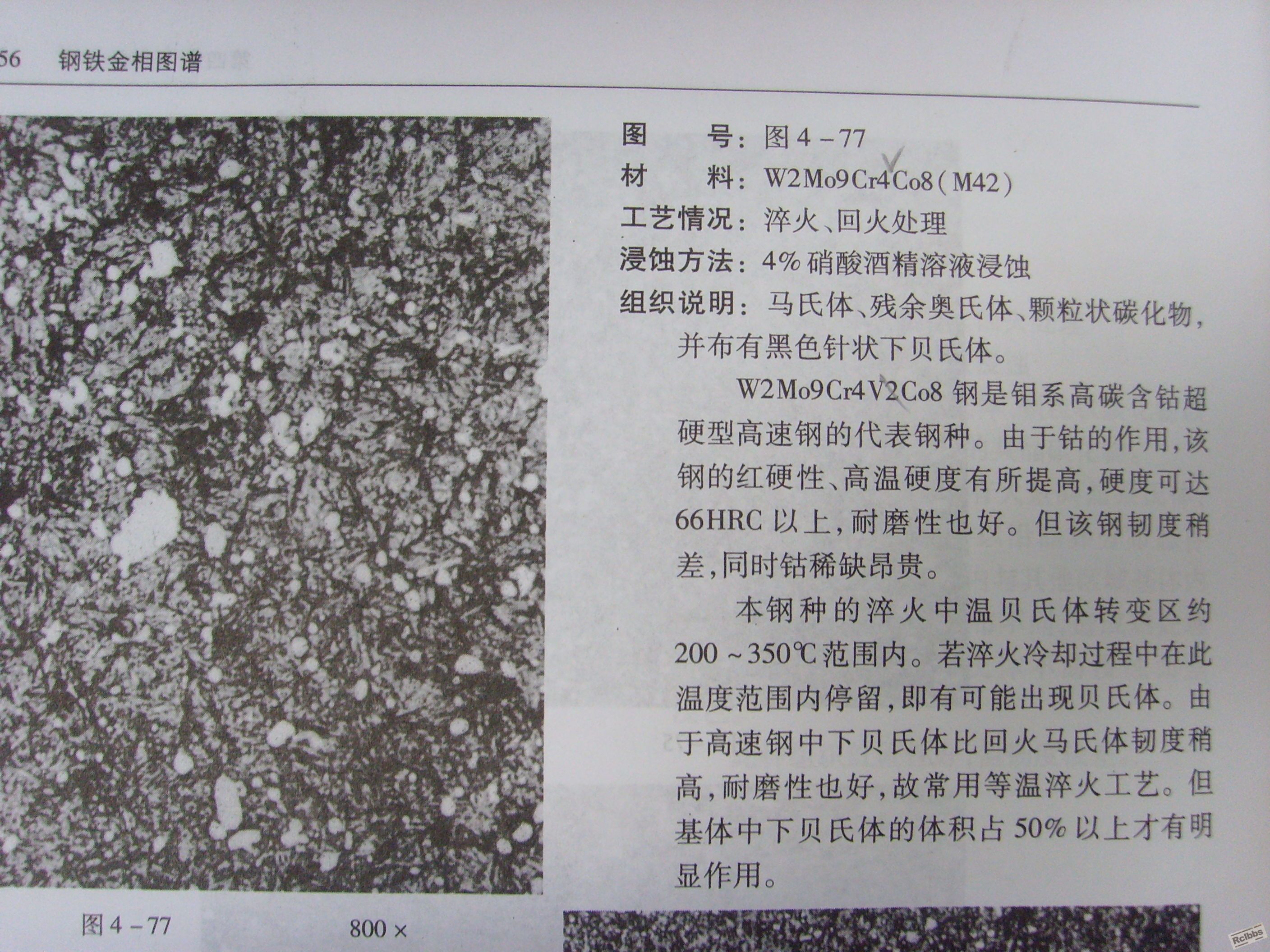 SSL21065.JPG