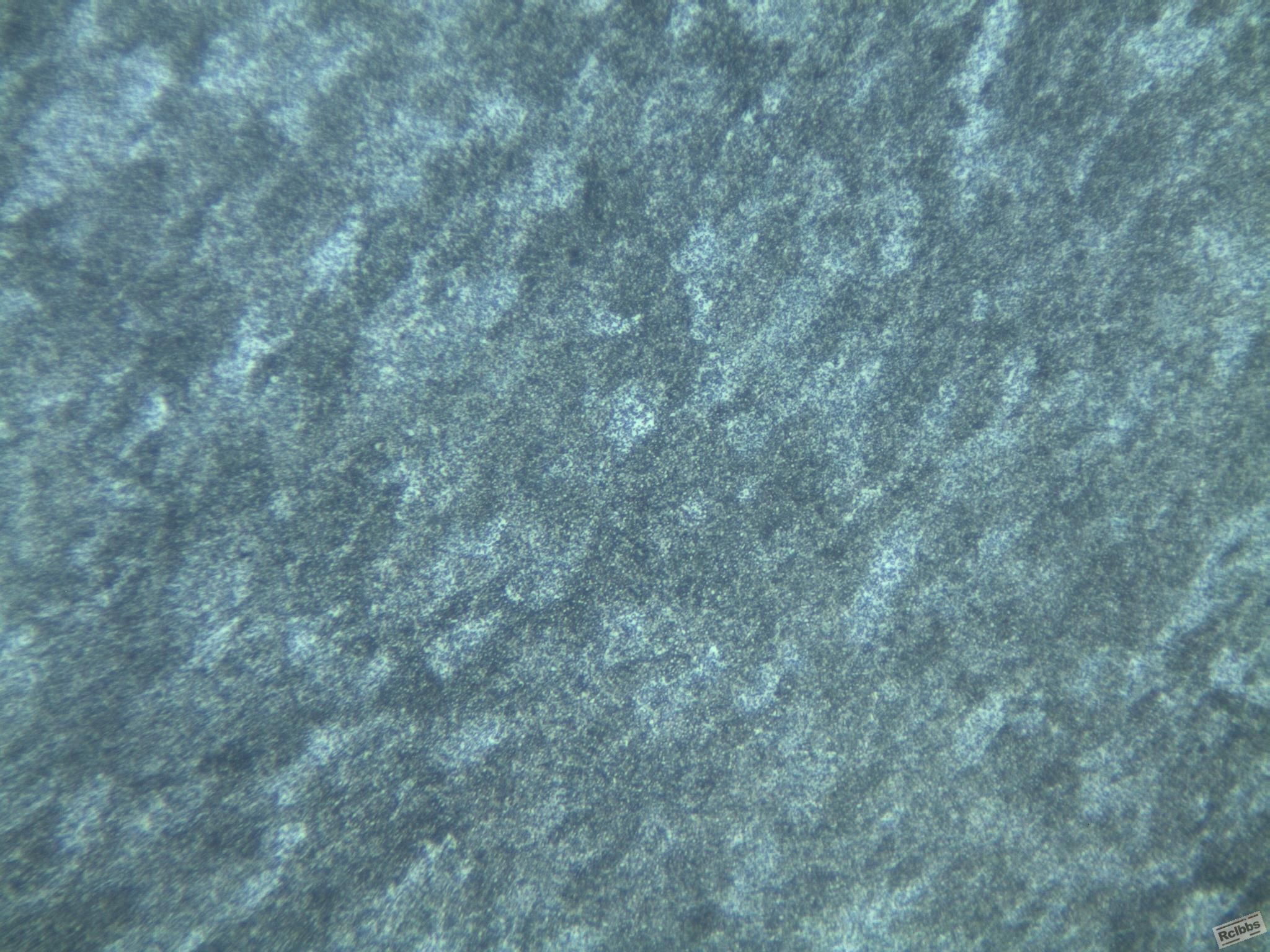 400X3.jpg
