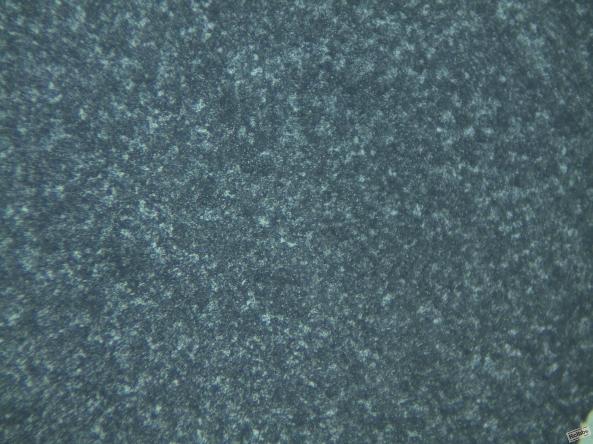 400x1.jpg