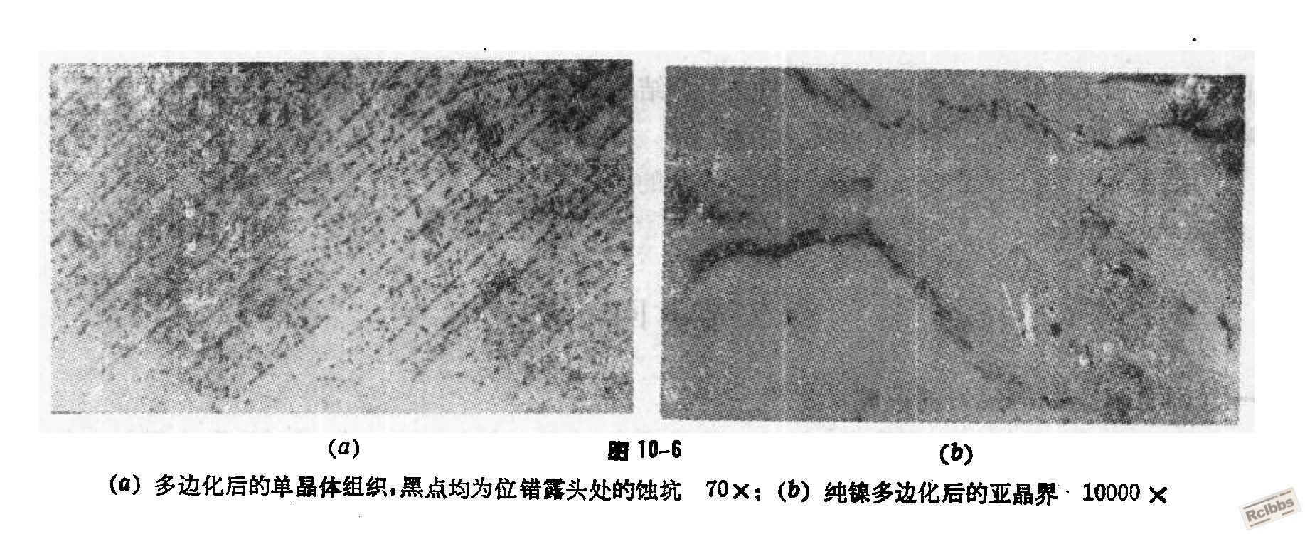 纯镍多变化后的亚晶界.jpg
