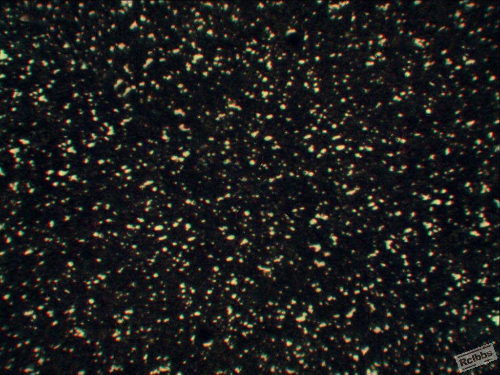 M42