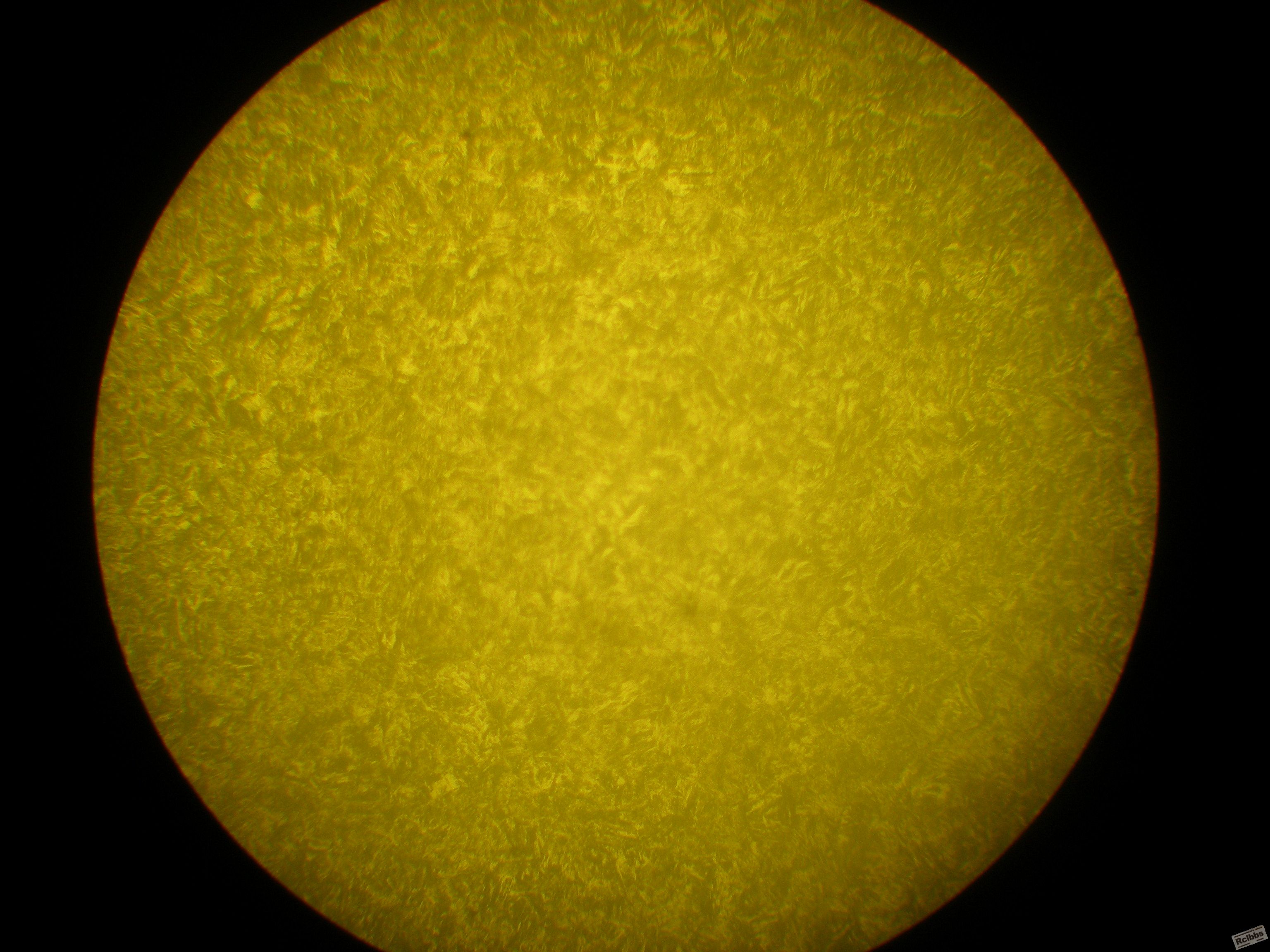 P1010001.JPG